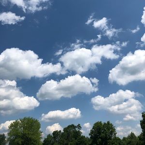 Meet your Posher, Chloe